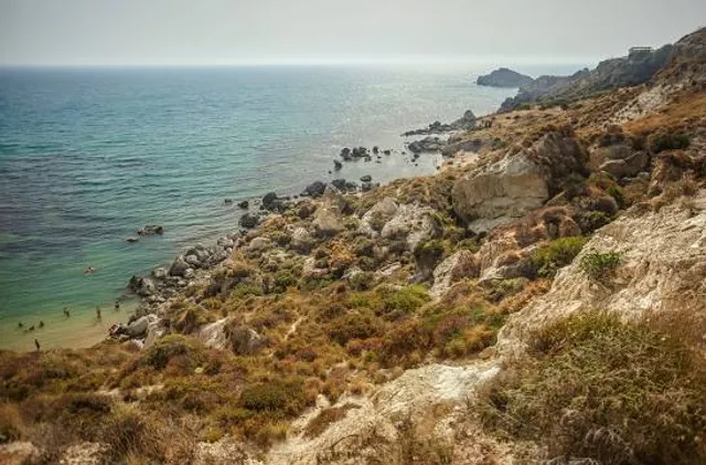photo-3