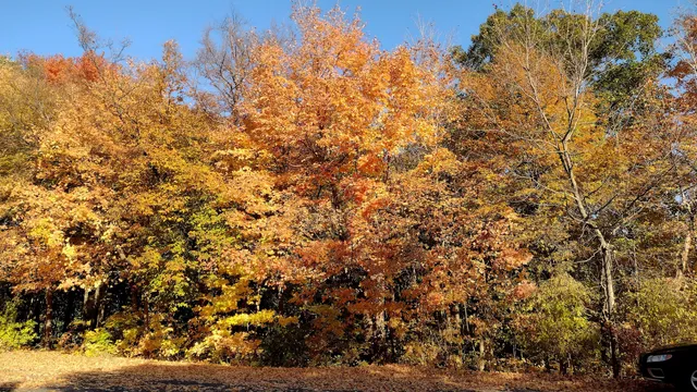 photo-1