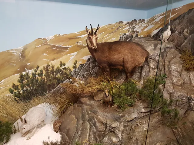 Museo Etnografico e Naturalistico Val Sanagra