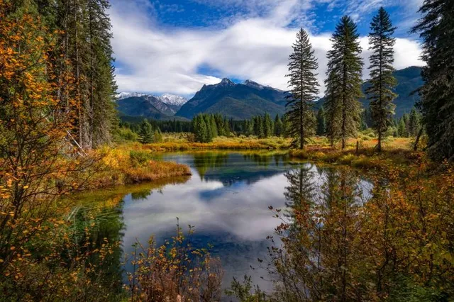 Kaniksu National Forest