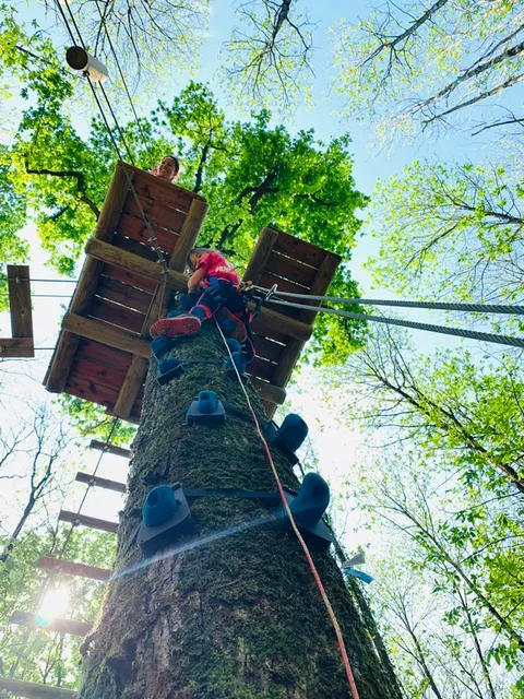 ADVENTURE PARK 79 CHANTEMERLE