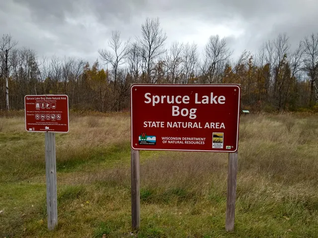 Spruce Lake Bog
