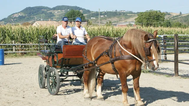 Circolo Ippico Parco Stirone