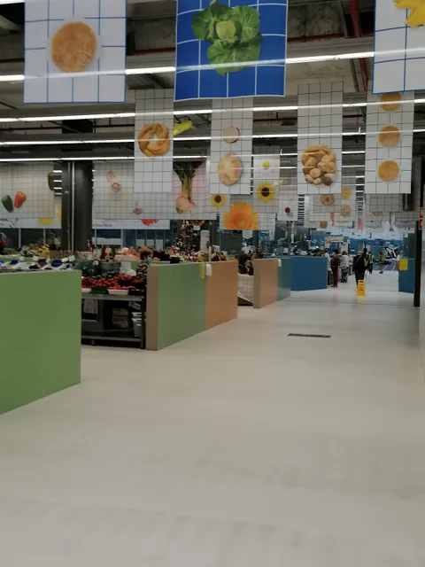 Herbs From Augusto Coutinho Bolhão