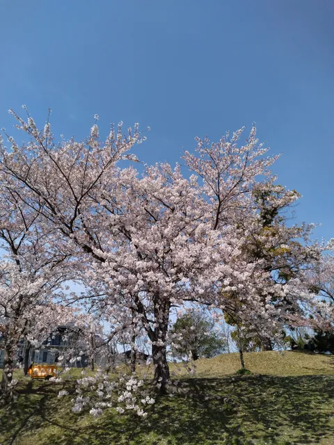 Matsue City Kita Park