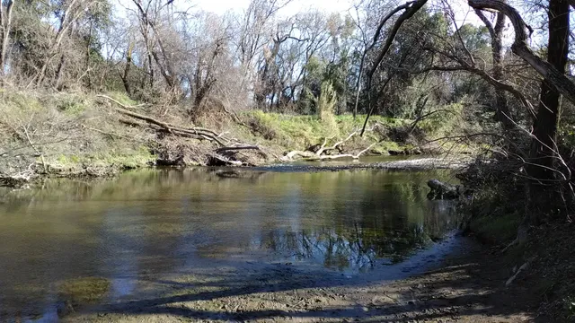 Trancas Crossing Park