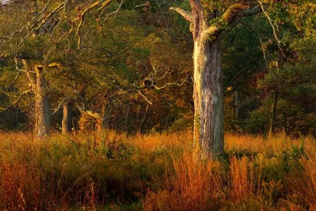 Battelle Darby Creek Metro Park Nature Center