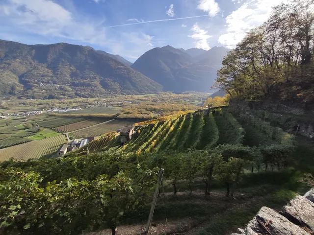 Cammino Mariano delle Alpi