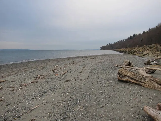 Beach North Of Point Wells