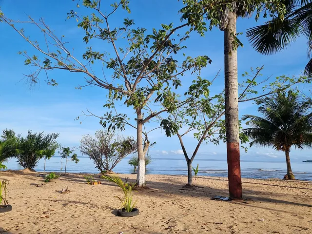 Região Geográfica Imediata de Breves