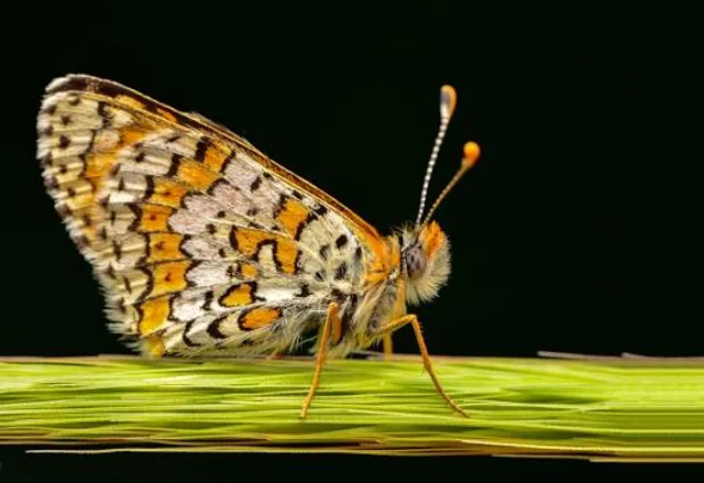 Monument Historique Berastagi