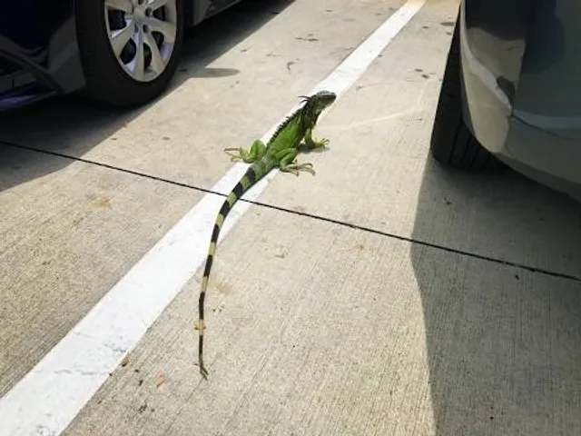 The Ralston-Central Park