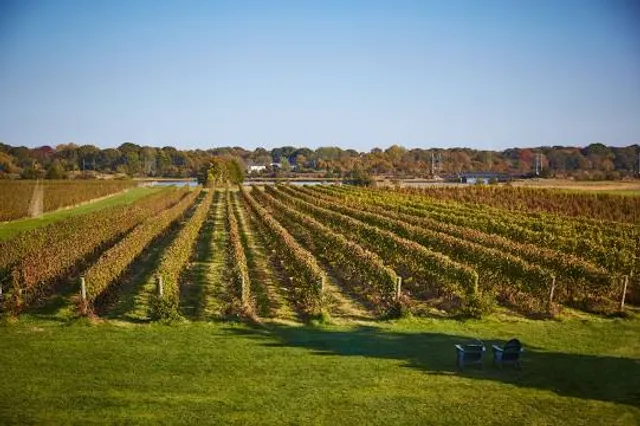 Black Birch Vineyard