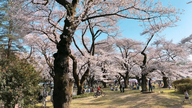 Koganei Park Service Center