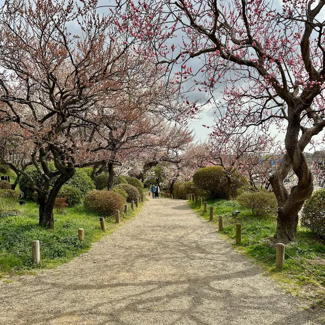 Kairakuen Main Garden
