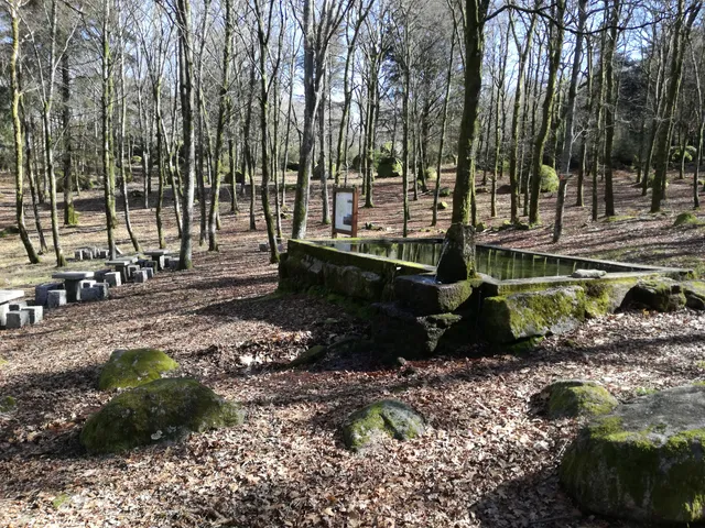 Parque de Merendas Da Penoita