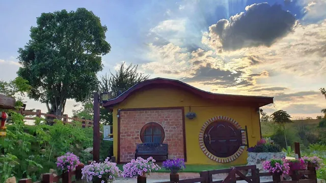 The Peace Wild @thepeacewildtinyfarm