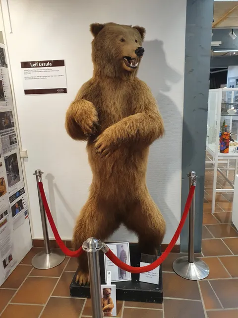 Rättviks nature museum