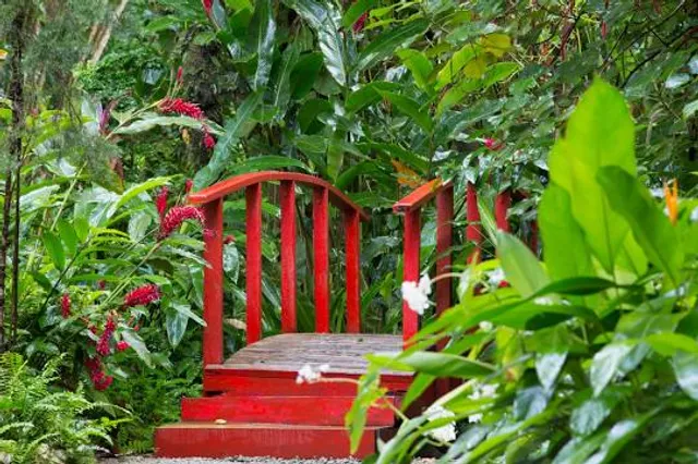 Diamond Falls Botanical Gardens & Mineral Baths