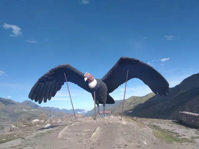 Cóndor Puñuna Mirador