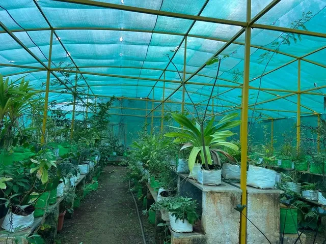 Yelagiri Herbal Garden