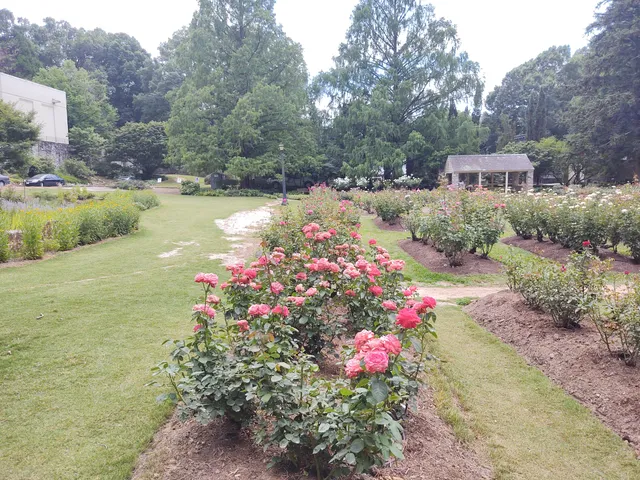 Rose Garden