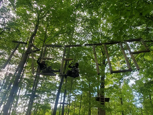 Treetop Trekking Hamilton