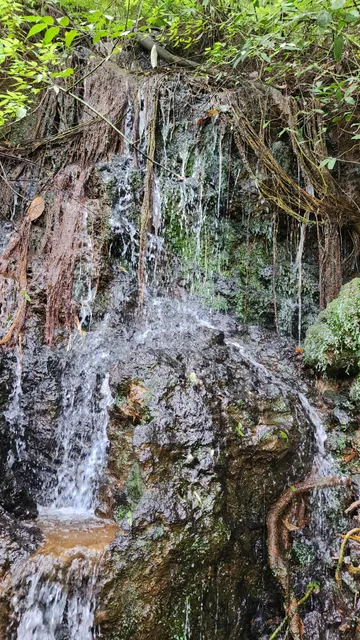 Trilha da Cascatinha