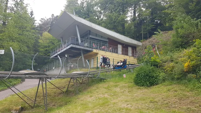 Luge Alpine Du Plan Inclinée