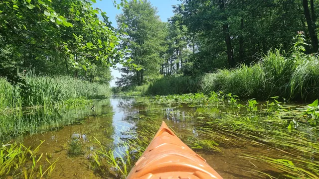 Spływy kajakowe Rzeką Sapiną. KRUKLANKI OGONKI WĘGORZEWO