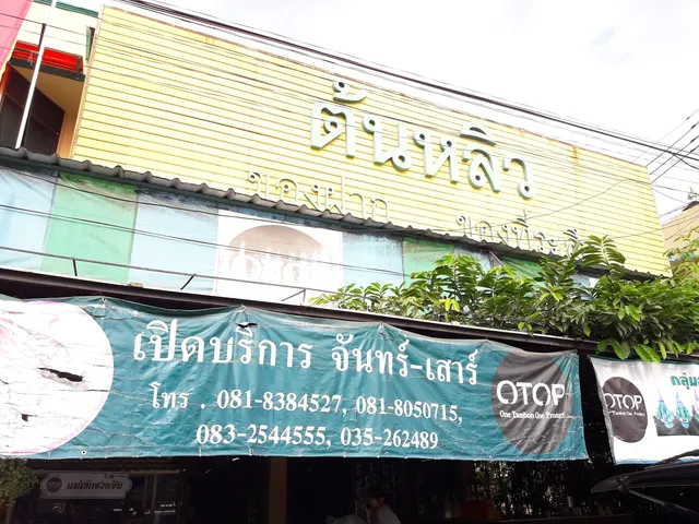 ต้นหลิว