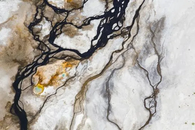 Bosque Estatal de Río Abajo