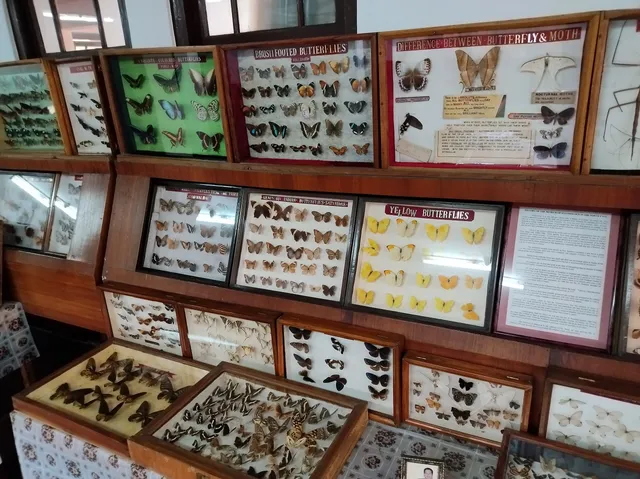 Wankhar Entomology Museum