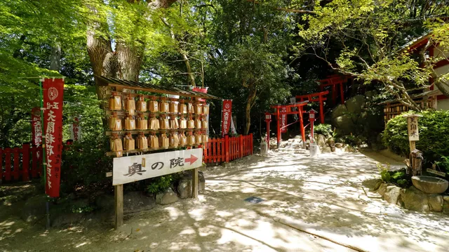 photo-1