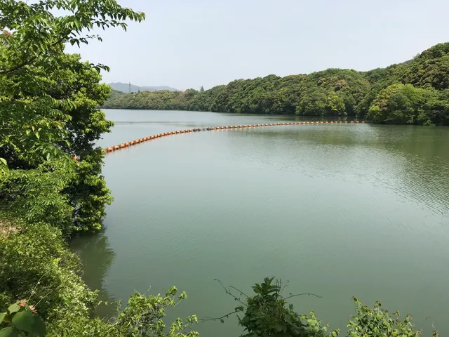 Toyota Lake