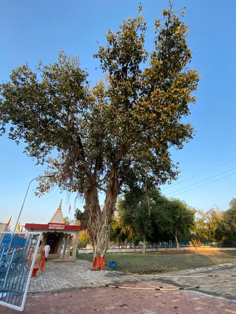 Ratapani Kolar dam side gate