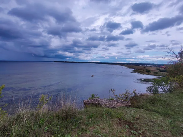 Tabasalu Looduspark MTÜ