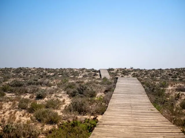 Praia da Culatra (Mar)