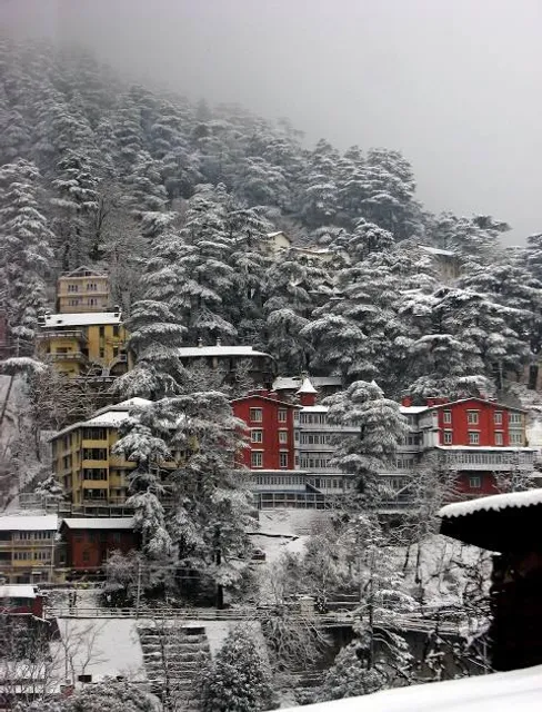 Shimla, Himachal Pradesh
