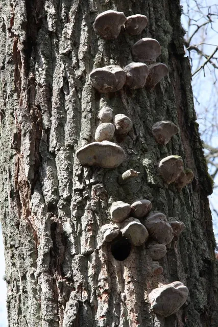 Punderson State Park