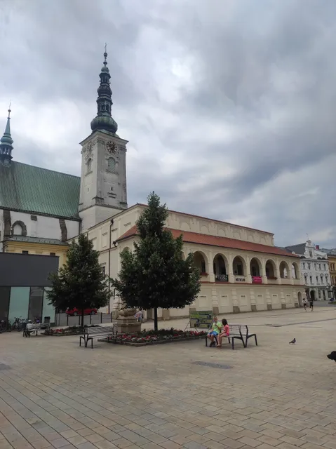 Muzeum a galerie v Prostějově
