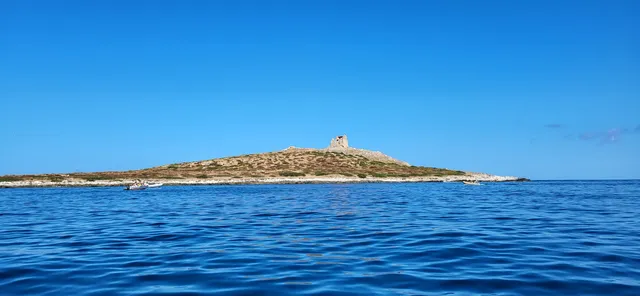 Riserva naturale orientata Isola delle Femmine