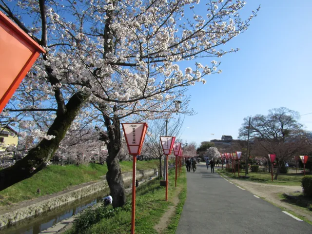 photo-1