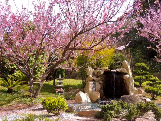 Parque da Cerejeira de Campos do Jordão