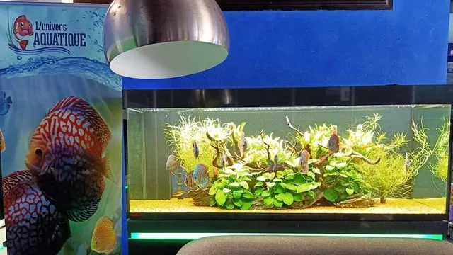 L'univers aquatique Rabat