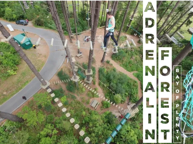 Adrenalin Forest Bay of Plenty