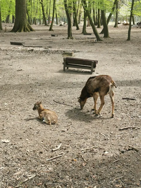 Bad Oeynhausener Schweiz