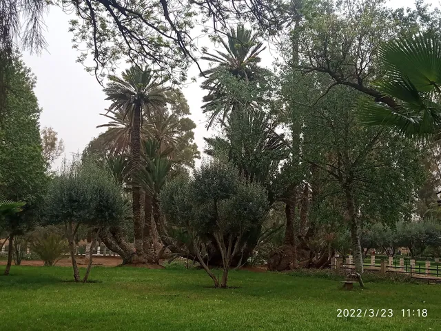Sidi Yahya Park