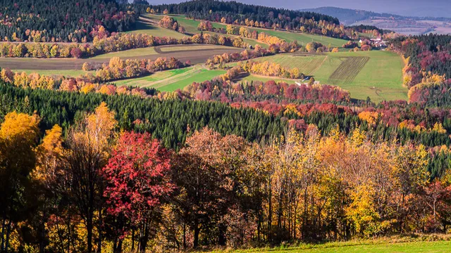 Ubytování - Apartment U Anděla