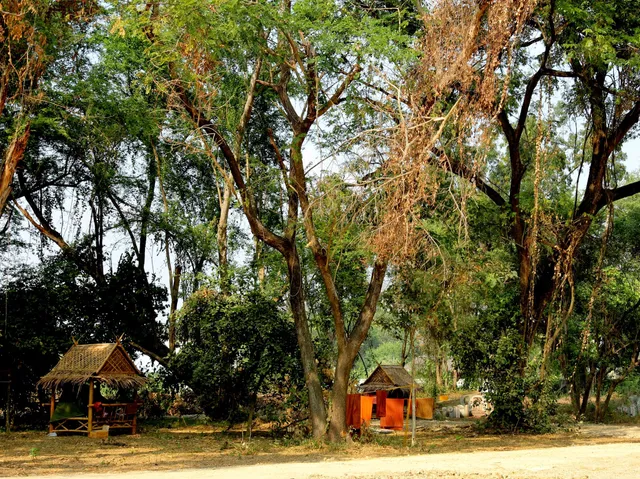 วัดป่ากุลสุวรรณ์